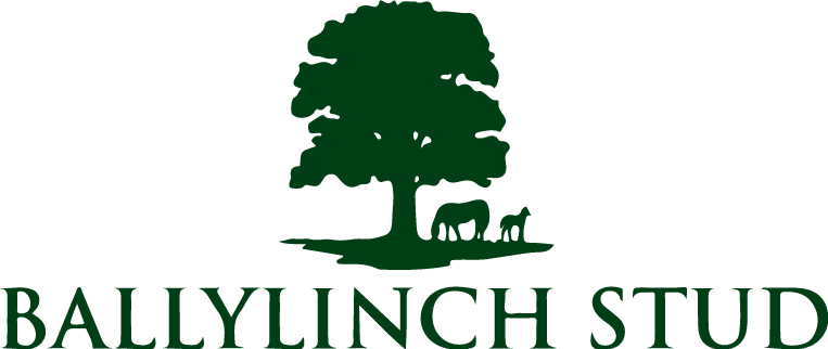 Ballylinch Stud UC logo